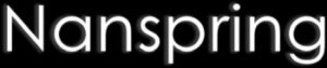 Nanspring logo black